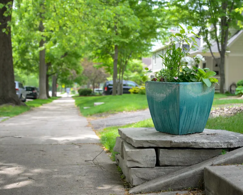 Mow This: The Suburban Rebels Torching Their Lawn Care Routines and Replacing Them With Glorious, Bug-Infested Chaos