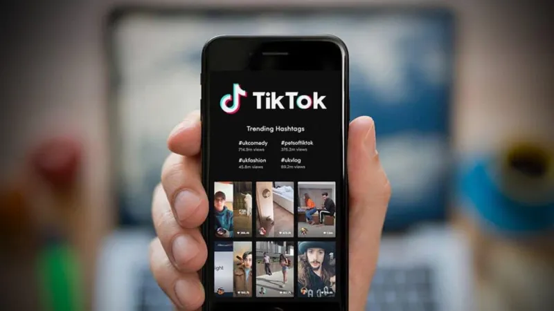 Down the Rabbit Hole: The Gloriously Unhinged TikTok Micro-Communities That Will Consume Your Entire Evening